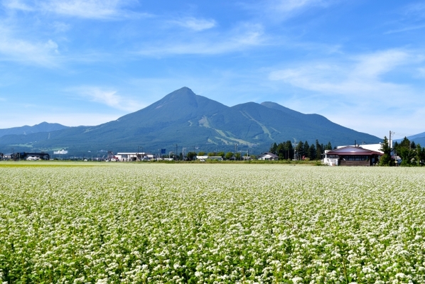「磐梯山ゴールドライン」で絶景紅葉ドライブ！通行情報や見所を解説！のイメージ