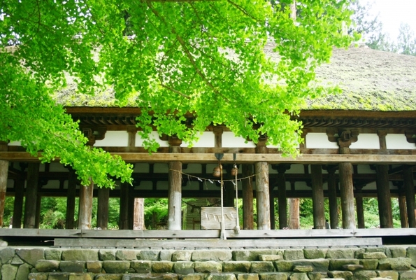「新宮熊野神社」には長床と呼ばれる拝殿あり！イチョウの紅葉や御朱印は？のイメージ