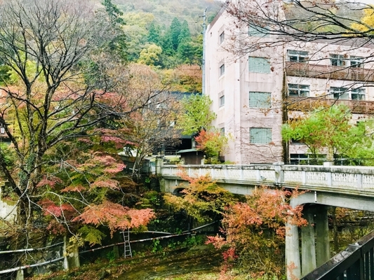 東山温泉「くつろぎ宿 新滝」は歴史ある旅館！4種の源泉掛け流しが魅力！のイメージ