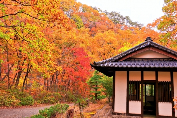 仙台の紅葉狩り名所11選！見頃の時期は？ライトアップの絶景も必見！のイメージ