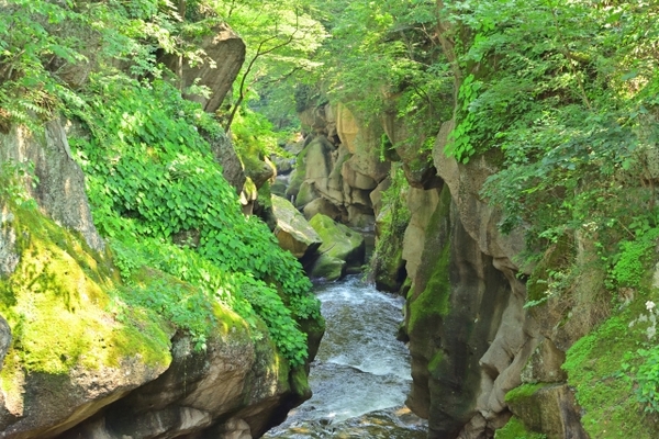 秋保温泉のおすすめ観光スポット12選！自然豊かな温泉街の魅力とは？のイメージ