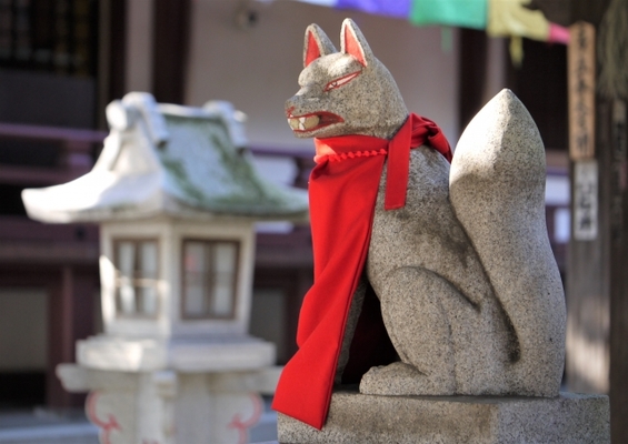 「金蛇水神社」は金運UPのパワスポ！御朱印やお守りは？花まつりも紹介！のイメージ