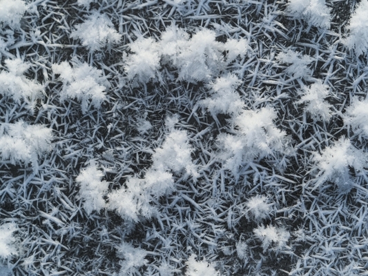 「フロストフラワー」とは雪と氷の奇跡の絶景！阿寒湖や屈斜路湖に現れる？のイメージ