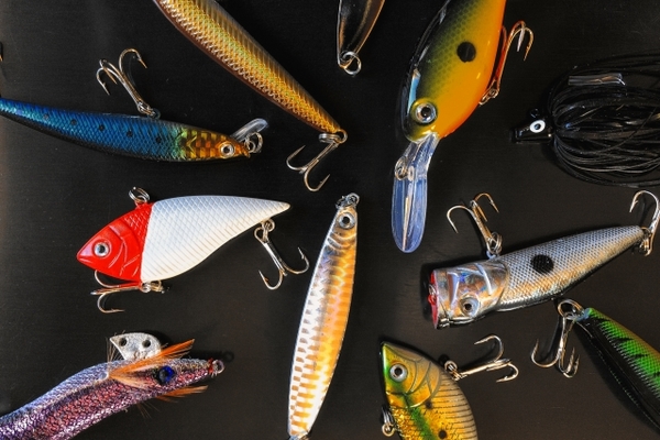 宮城の釣り情報まとめ！おすすめポイントや魚の種類&釣果を解説！のイメージ