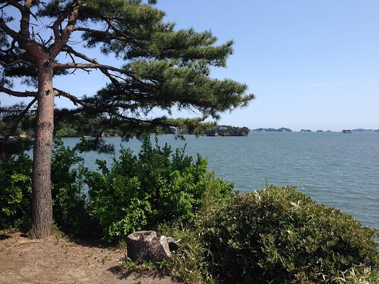松島・瑞巌寺の「五大堂」を観光！縁結びの透かし橋や御朱印を紹介！のイメージ