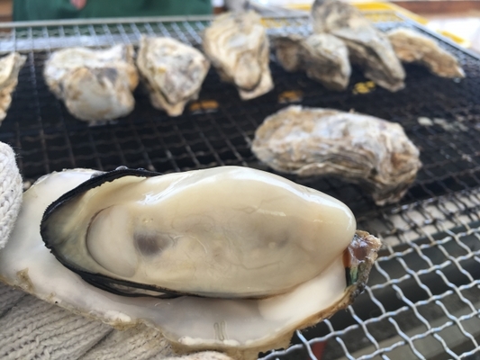 宮城・仙台の牡蠣小屋で食べ放題を満喫！旬の時期やおすすめ店9選！のイメージ
