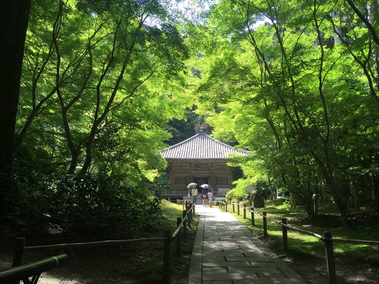 松島の名所「円通院」で庭園や天然石の数珠作りを満喫！御朱印や駐車場は？のイメージ
