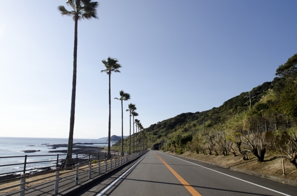 宮崎の道の駅ランキングTOP17！温泉やグルメを満喫！車中泊にも！のイメージ