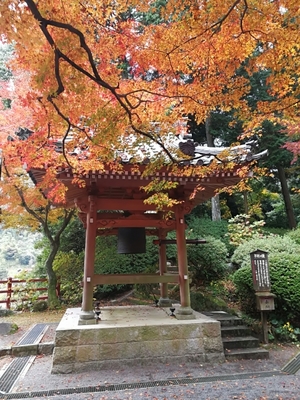「大興善寺」は5万本のつつじが咲き誇る絶景名所！見頃や祭りも紹介！のイメージ