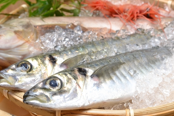 平戸のおすすめランチ12選！絶品の海鮮や子連れに嬉しいバイキングも！のイメージ