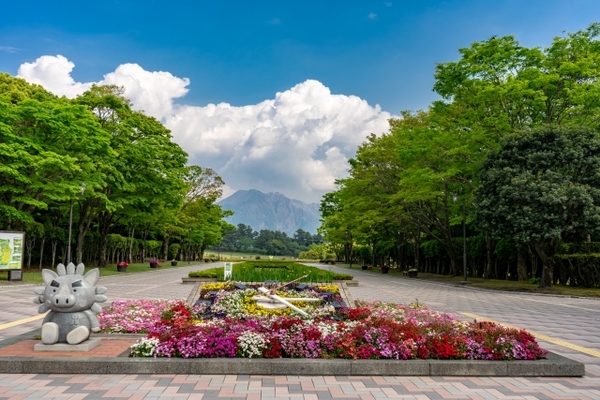 鹿児島「吉野公園」は桜の絶景名所！桜まつりや展望台の景色も解説！のイメージ