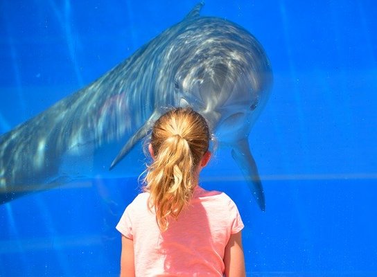 鹿児島のおすすめ水族館&動物園7選！子連れ家族やカップルのデートに！のイメージ