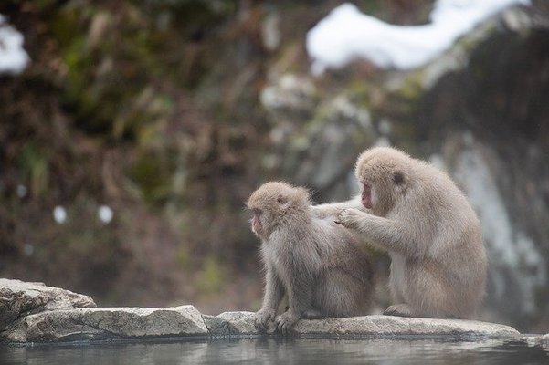 九重九湯の1つ「宝泉寺温泉」のおすすめ旅館と日帰り温泉12選！のイメージ