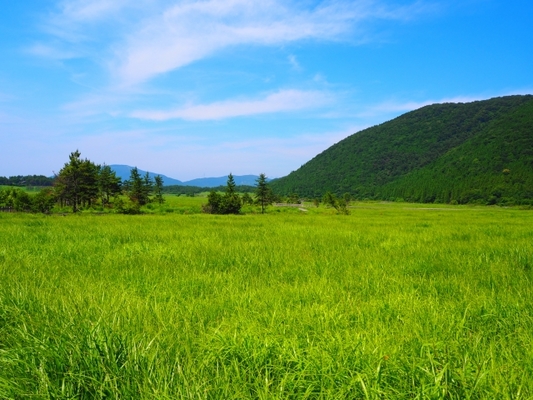 九重連山の麓！「タデ原湿原」で遊歩道散策や希少な花に癒さよう！のイメージ