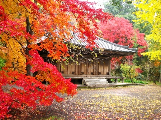 大分「富貴寺」は福山雅治が訪れたロケ地！御朱印や紅葉の絶景も紹介！のイメージ