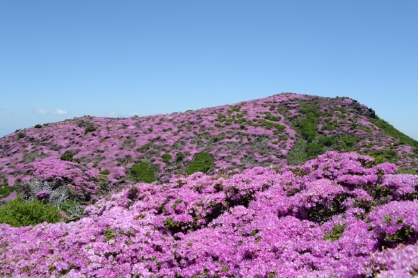 「九重山」の登山コースや縦走情報を解説！大自然の絶景を拝もう！のイメージ