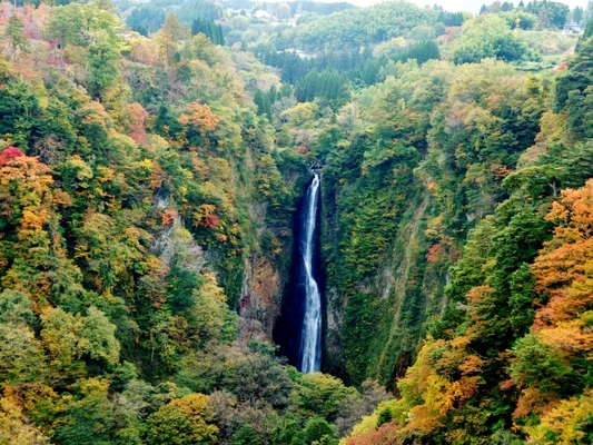 「九酔渓」で渓流の大自然と美しい紅葉を満喫！温泉や展望所も紹介！のイメージ