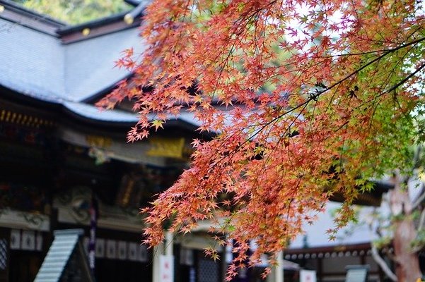 「英彦山神宮」の御朱印やご利益を解説！スロープカーでのアクセス情報も！のイメージ