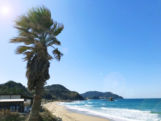 糸島「パームビーチ」の天使の羽が映えすぎ！海の絶景とお洒落カフェも最高！のイメージ