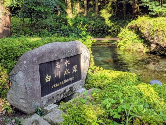 阿蘇の美しい名水！「白川水源」の透き通る湧水で癒し&パワーチャージ！のイメージ