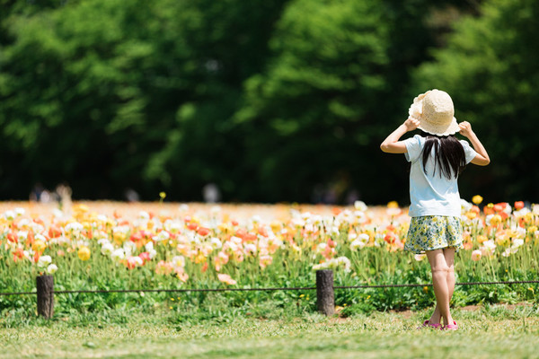 熊本のおすすめ遊び場30選！子供から大人まで楽しめるスポットを厳選！のイメージ