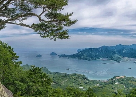  志賀島で発見された漢委奴国王の金印は本物？なぜ秘匿された？謎に迫る！のイメージ