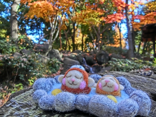 【熊本】はげの湯温泉「旅館山翠」で最高の露天風呂と湯巡りを愉しむ！のイメージ