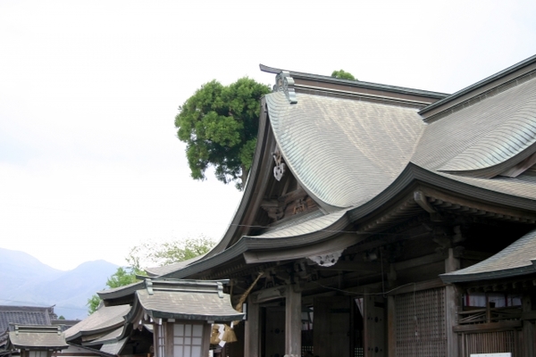 「阿蘇神社」は悠久の歴史を有する荘厳な古社！御朱印や現在の復旧の様子は？のイメージ