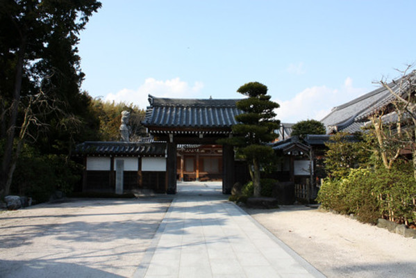 松江「月照寺」で紫陽花の絶景とお茶を愉しむ♪大亀の謎についても調査のイメージ