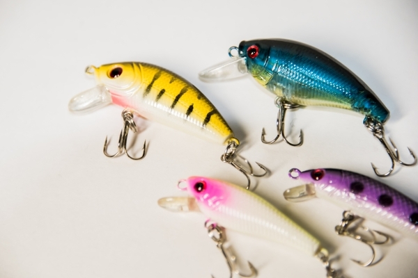【最新】島根の釣り情報ガイド！おすすめポイントや釣果情報を解説！のイメージ
