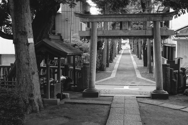 島根「神魂神社」の本殿は国宝指定の名所！御朱印やご利益をご紹介！のイメージ
