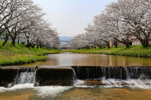 玉造温泉「松乃湯」は長い歴史を持つ老舗旅館！温泉や絶品料理をご紹介！のイメージ