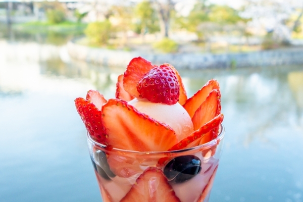 広島で美味しいおすすめパフェ20選！インスタ映え間違いなしの人気店へ！のイメージ