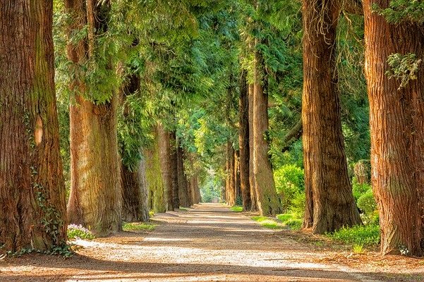 庄原市のおすすめ観光スポット12選！大自然からパワスポまで魅力満点！のイメージ