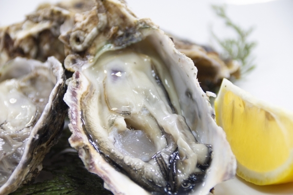 広島で牡蠣が最高に美味しいお店15選！牡蠣小屋や食べ放題で満喫！のイメージ