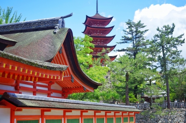 【宮島】厳島神社の大鳥居は満潮と干潮のどっちの時間がおすすめ？のイメージ
