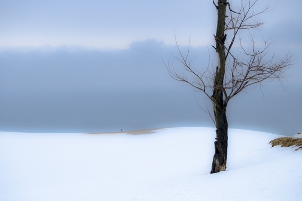 冬ならではの絶景！鳥取砂丘の雪景色が圧巻の美しさ！時期や気温も解説！のイメージ