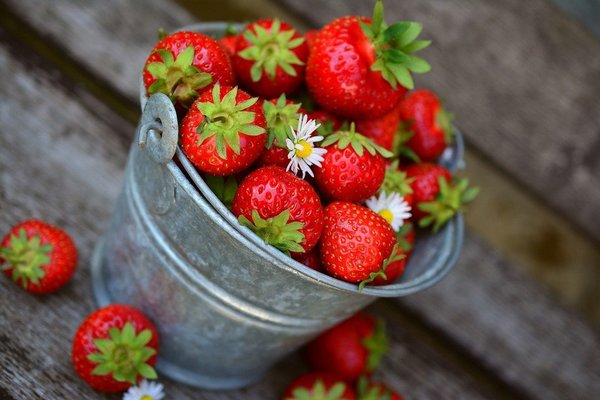 山口のおすすめいちご狩りスポット12選！予約なしOKや食べ放題の農園！のイメージ