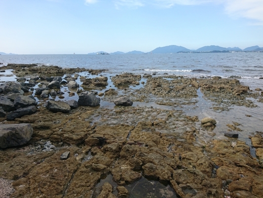 下関「彦島八幡宮」は彦島開拓ゆかりの地！ペトログラフや御朱印を紹介！のイメージ