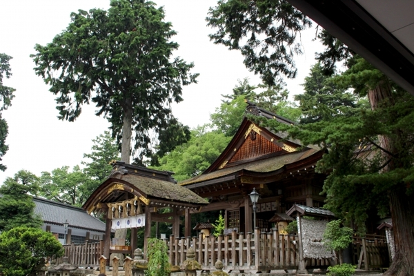 鳥取「因幡国一の宮 宇倍神社」はお金と縁深い神社！御朱印&お守りも紹介！のイメージ