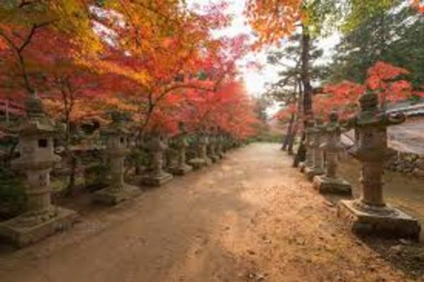 広島三原市「佛通寺」で圧巻の紅葉を鑑賞！見頃の時期や御朱印情報！のイメージ