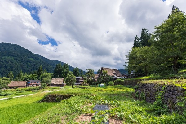 鳥取名物「とち餅」って知ってる？お菓子の壽城や松之屋など名店を紹介！のイメージ