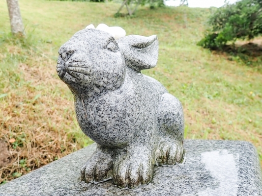 【鳥取】「白兎神社」伝説の縁結びパワースポット！のイメージ