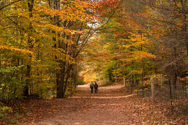 岡山のおすすめ紅葉スポット15選！絶景の時期やライトアップ情報、穴場の名所も！のイメージ