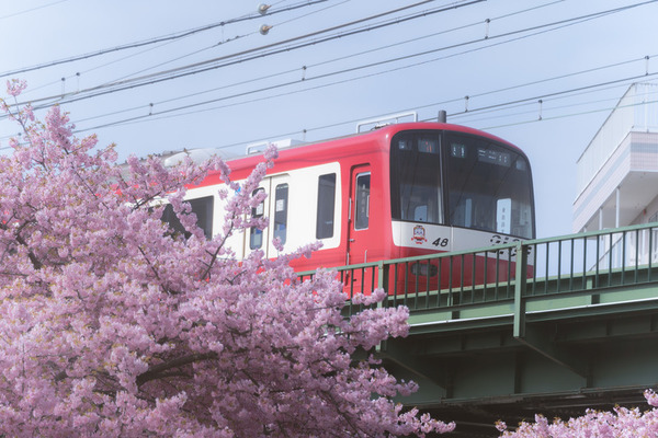 岡山～京都間の移動手段のまとめ！新幹線/電車/高速バス/自家用車の料金＆所要時間を徹底解説のイメージ