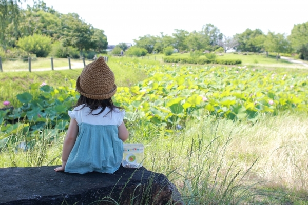 水攻めを受けた備中高松城の歴史と城主清水宗治を解説！御城印情報ものイメージ